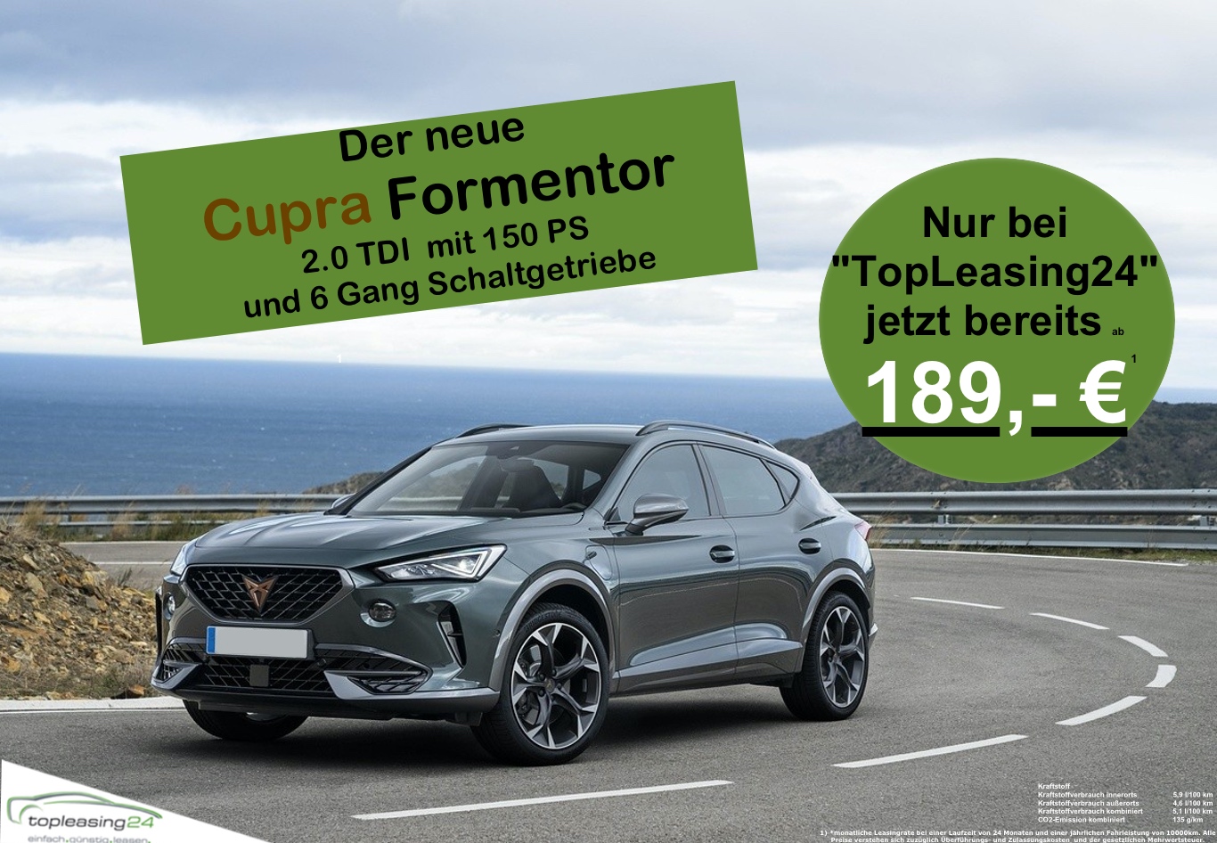 Cupra Flyer ohne Logo