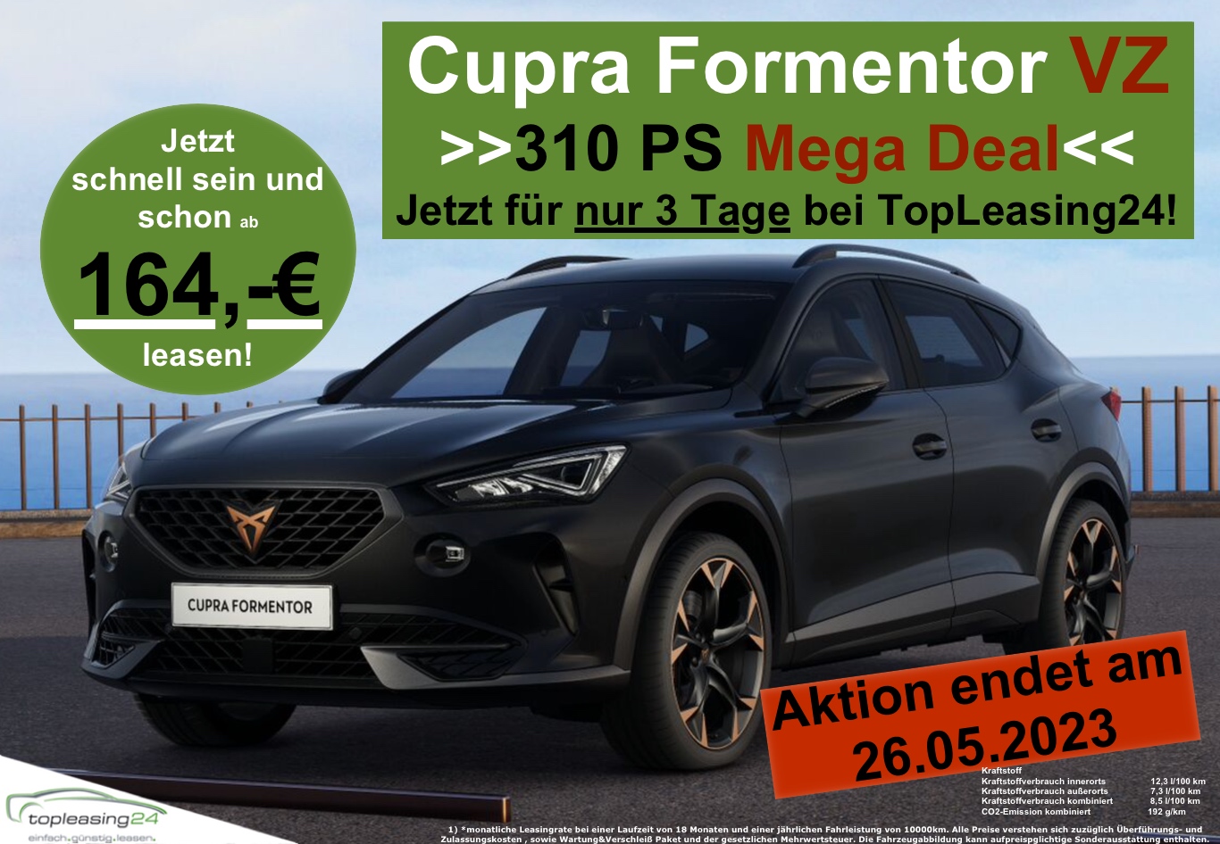 Cupra VZ Flyer