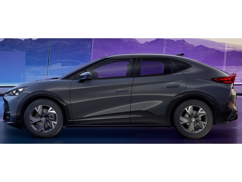 Tavascan Premium seite